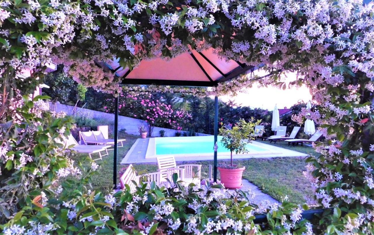 Domus Langhe B&B Treiso Esterno foto